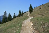 Weg zweischen Jocher-Alm und Jochberg