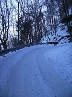 Rodelbahn auf dem Fahrweg