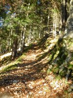 Weg zum Lochner Horn