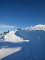 Die letzen Meter zum Lochner Horn