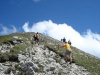 Viel Trubel am Hinteren Sonnwendjoch