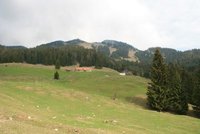 Blick auf das Wildalpjoch