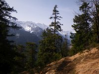 Immer wieder ffnet sich der Blick Richtung Estergebirge und Zugspitze