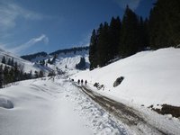 Aufstieg neben dem Fahrweg