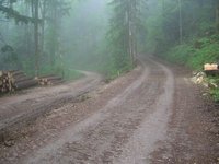 Hier teilen sich die Wege - zum Friedenrath geht es links lang