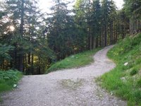 Am Anfang der Dalsenalm - wir kommen von links und gehen weiter auf dem Forstweg rechts