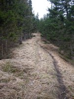 Der Weg verluft meist direkt auf der Bergflanke