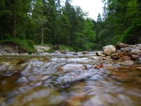 Jenbach an der Maieralpe