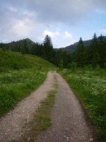 Weg zwischen Maieralpe und Farrenpoint Steig