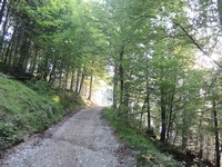 Aufstieg zur Ebnerspitze zu Beginn der Tour ber einen Fahrweg