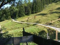 Wildalpjoch, Wendelstein, Lacherspitz, Hochsalwand, Rampoldplatte