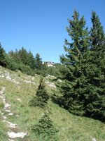 Wildalpjoch, Wendelstein, Lacherspitz, Hochsalwand, Rampoldplatte