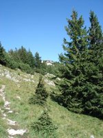 Wildalpjoch, Wendelstein, Lacherspitz, Hochsalwand, Rampoldplatte