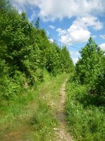 Auf dem Weg zwischen Bauer am Berg und Maiwand