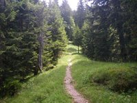 Pfad unterhalb der Reindleralm