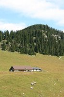 Reindleralm und Haidwand