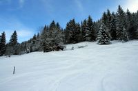 Aufstieg teils auf freien Hngen, teils im Wald