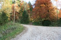 An der zweiten Straenverzweigung geht man gerade aus und folgt nun dem breiten Wanderweg