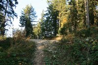 im mittleren Abschnitt kreuzt man wieder einmal einen Fahrweg