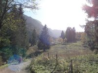 im Jenbachtal