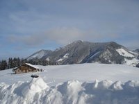 Hochries und Feichteck] von den Daffnerwaldalmen gesehen