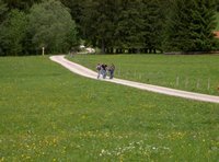 Kruterwiese, Hochries, Grainbach