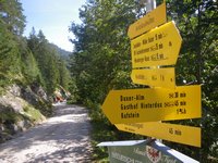 Am Brentenjoch zweigt der Weg zum Gamskogel ab