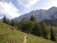 Gemtlicher Wanderweg vor der Kulisse der Hackenkpfe und des Scheffauers