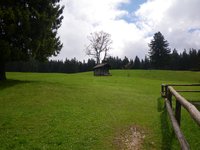 an der Schwaigeralm