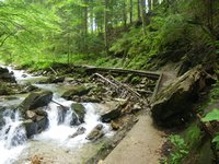 Jenbachwasserflle