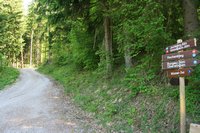 Abzweigung auf circa 800 Hm - die Tour geht Richtung Jochberg-Alm