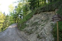 Den breiten Weg verlsst man auf den hier gezeigten schmleren Weg