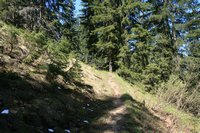 ruhiger Bergsteig auf die Hochflche zwischen Groem und Kleinem Rechenkopf