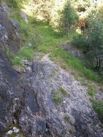 Einige Bachlufe werden am Steinapfelseig gequert