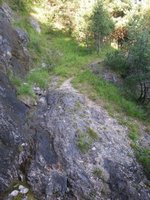 Einige Bachlufe werden am Steinapfelseig gequert