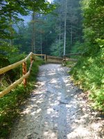 Weg in der Patnachklamm