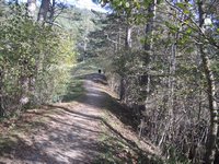 Erster Aufstieg im Wald