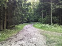 breiter Wanderweg
