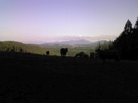 Abendstimmung vor der Kulisse des Wendelsteins