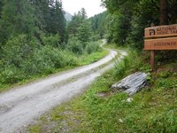 Bald schon geht es in die Auenzone des Nationalparks