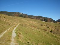 Auf dem Weg zur Rinderbrachalm