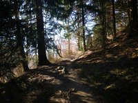 Bergweg oberhalb der Frankenalm