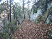 Rckweg kurz nach dem Verlassen des markierten Wanderweges auf ungefhr 700 Hm