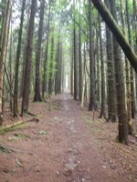 auf dem Weg zum Schwarzenberg