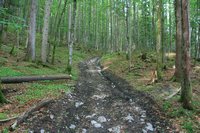 nach dem ersten Stck auf dem breiten Forstweg wird der Weg deutlich schlechter