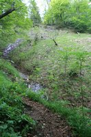 Bergsteig entlang des Baches