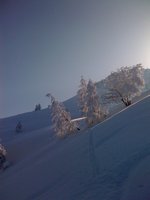 Rampoldalm verschneiter Baum