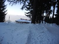 An der Tregleralm angekommen