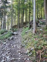 zunchst geht es durch den Waldgrtel