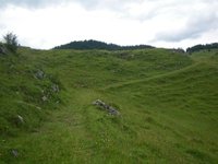 Kurz vor der Pastau-Alm